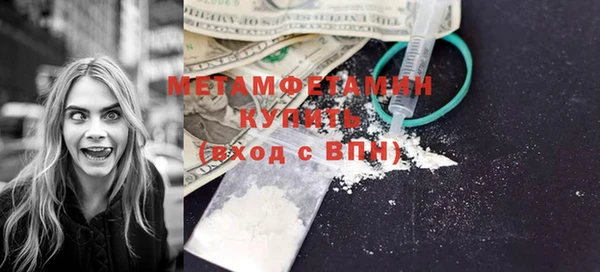 молекула духа Вяземский