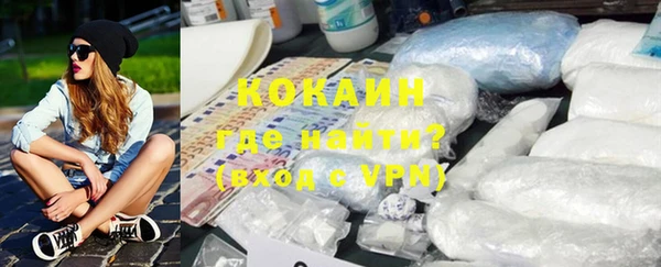 молекула духа Вяземский