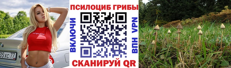Галлюциногенные грибы MAGIC MUSHROOMS  это формула  hydra маркетплейс  Томилино  купить наркотик 